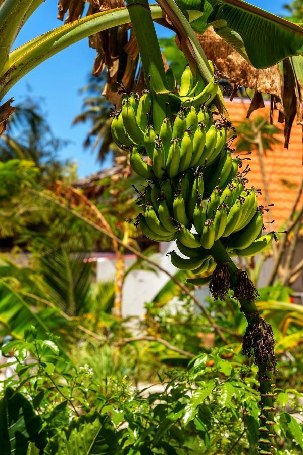 Heart Of Zanzibar Bungalows Падже Екстер'єр фото